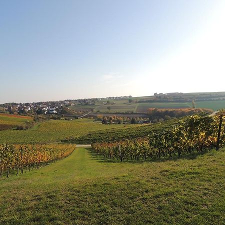 מלון Dolgesheim Weingut Seck מראה חיצוני תמונה