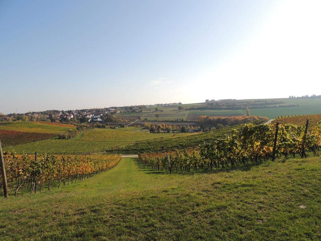 מלון Dolgesheim Weingut Seck מראה חיצוני תמונה