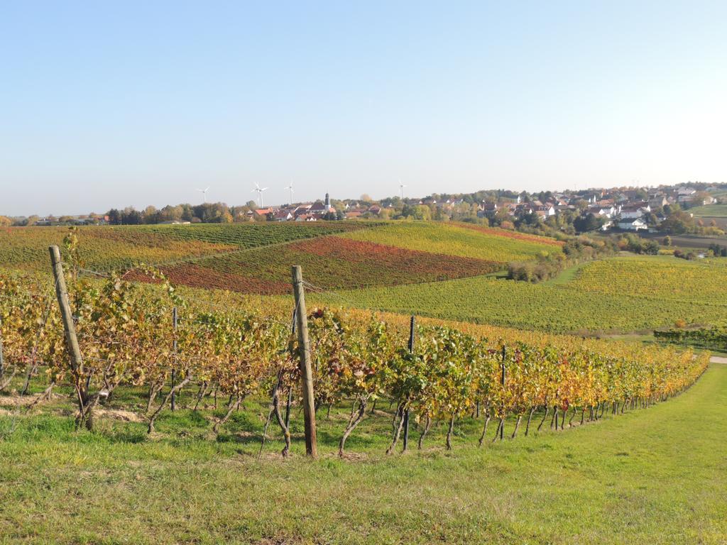 מלון Dolgesheim Weingut Seck מראה חיצוני תמונה